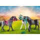 Playmobil 70999 - Trzy konie - fryz, knabstrup i koń andaluzyjski