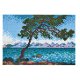 Hama midi 3606, Zestaw Art, Claude Monet