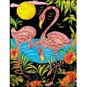 Duży plakat do pokolorowania, tło velvet, Flamingi