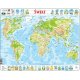 Larsen, puzzle edukacyjne, Mapa Świata