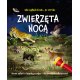 Zwierzęta nocą, Nocne safari z latarką w ręku, Wydawnictwo Jedność