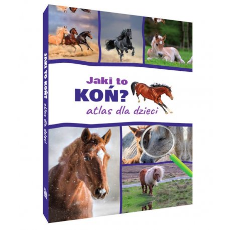 Jaki to koń? Atlas dla dzieci