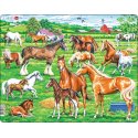 Piękne konie różnych ras, kolorów i rozmiarów, puzzle Larsen