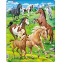 Konie na górskim polu, puzzle Larsen