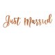 Banner "Just Married" - Różowe Złoto - 20 x 77 cm