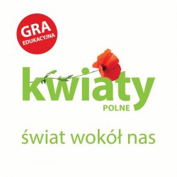 Gra Edukacyjna Memory Kwiaty polne - Świat Wokół Nas