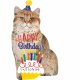 Balon w kształcie Kota - Happy Birthday SuperShape 45 x 83cm