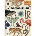 Książka Animalium Muzeum Zwierząt - Wydawnictwo Dwie Siostry