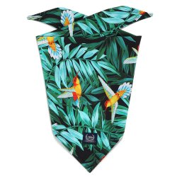 Trójkątna Chustka, Colibri, La Millou