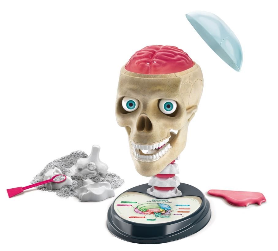 Clementoni 50697 - Zwariowana Anatomia - Zabawka Naukowa